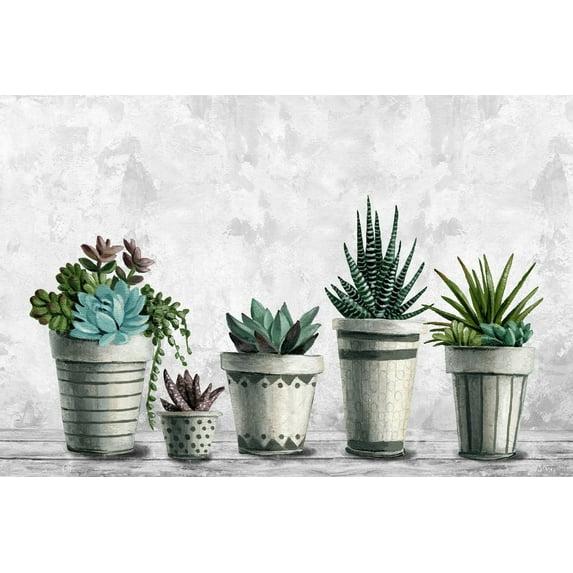Marmont Hill Succulents Galore Canvas Wall Art, 8" x 12"