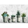 thumbnail image 1 of Marmont Hill Succulents Galore Canvas Wall Art, 1 of 7