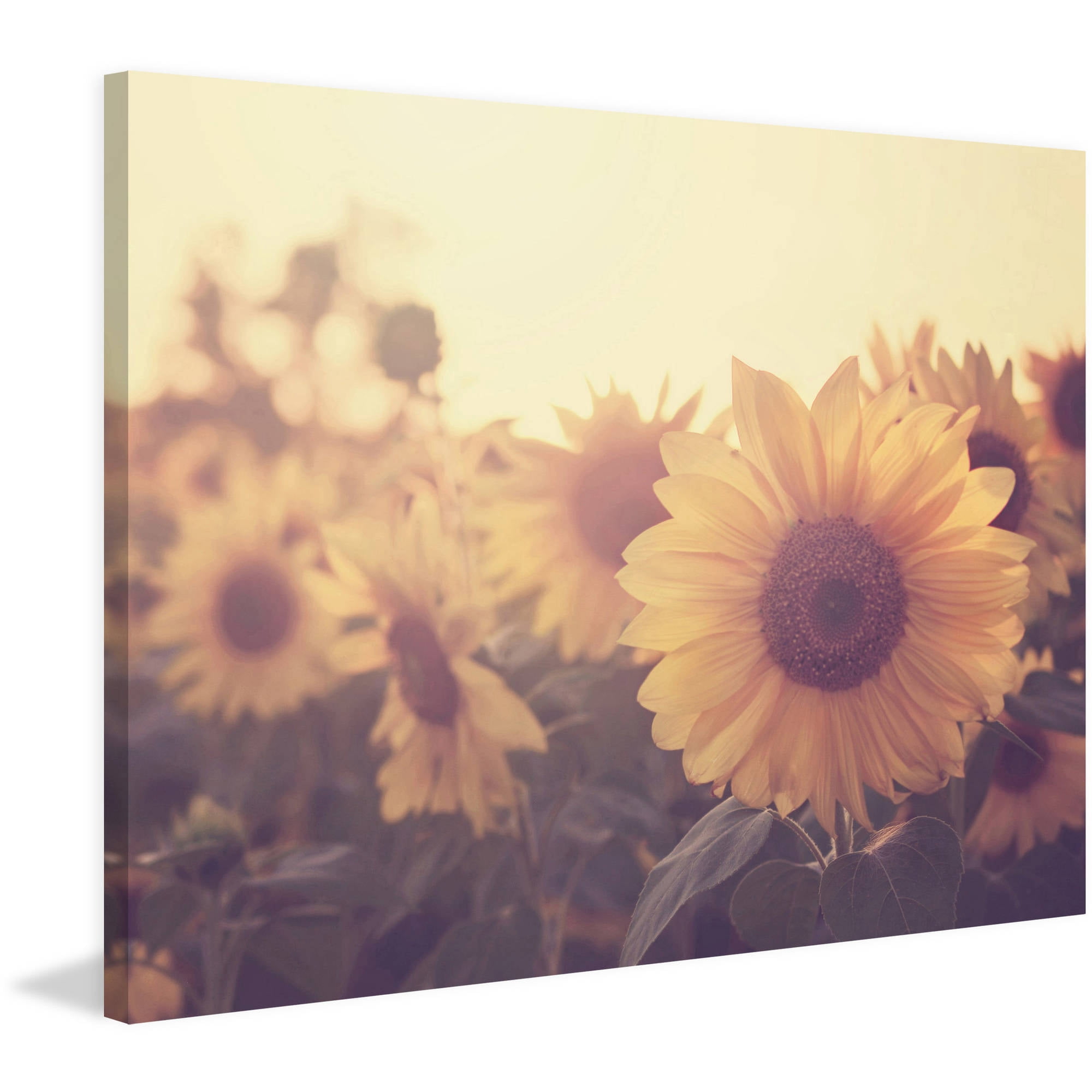 Marmont Hill "Sunflower September" Painting Print on Wrapped Canvas