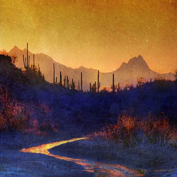 Marmont Hill "Sunset Saguaros Stream" by Chris Vest Painting Print on Wrapped Canvas