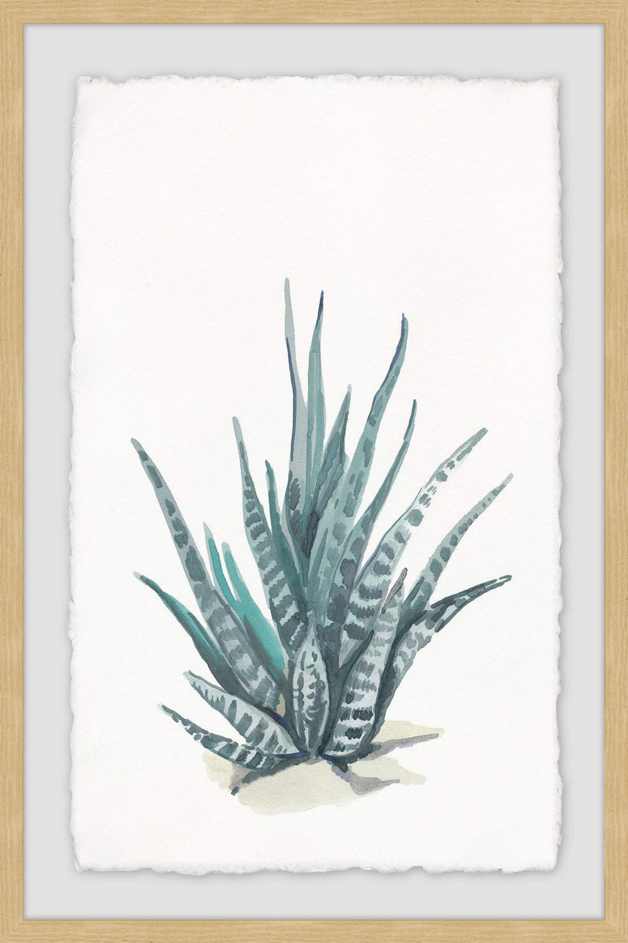 Light Brown Framed Succulent Canvas Print, 12" x 8"