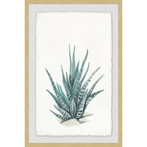 Marmont Hill Tall Succulent Framed Wall Art, 12" x 8"