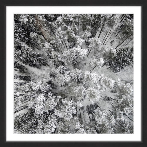 Marmont Hill "Tall and Cold" by Karolis Janulis Framed Painting Print
