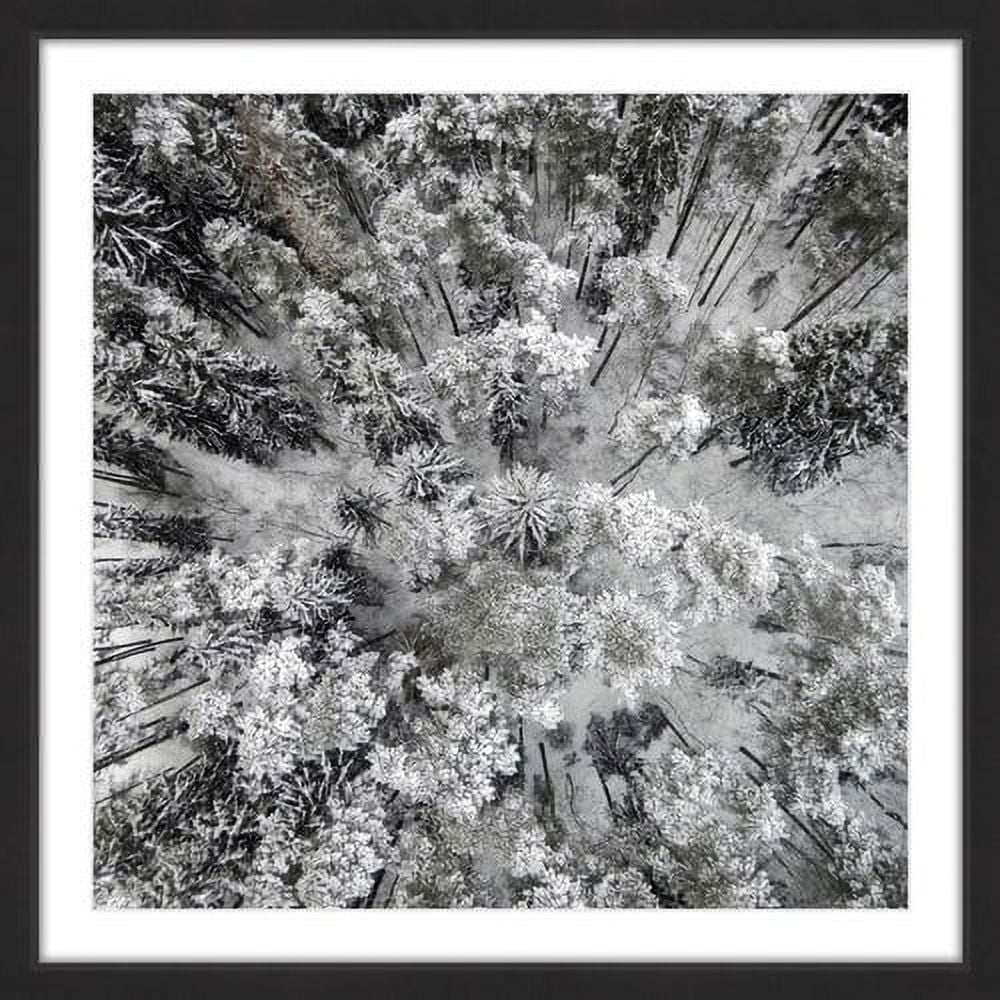 Tall and Cold Black Framed Canvas Print, 26" x 26"