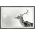 thumbnail image 1 of Marmont Hill The Forest and the Deer Framed Wall Art, 1 of 6