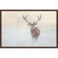 thumbnail image 1 of Marmont Hill "The Lone Buck" Framed Painting Print, 1 of 5