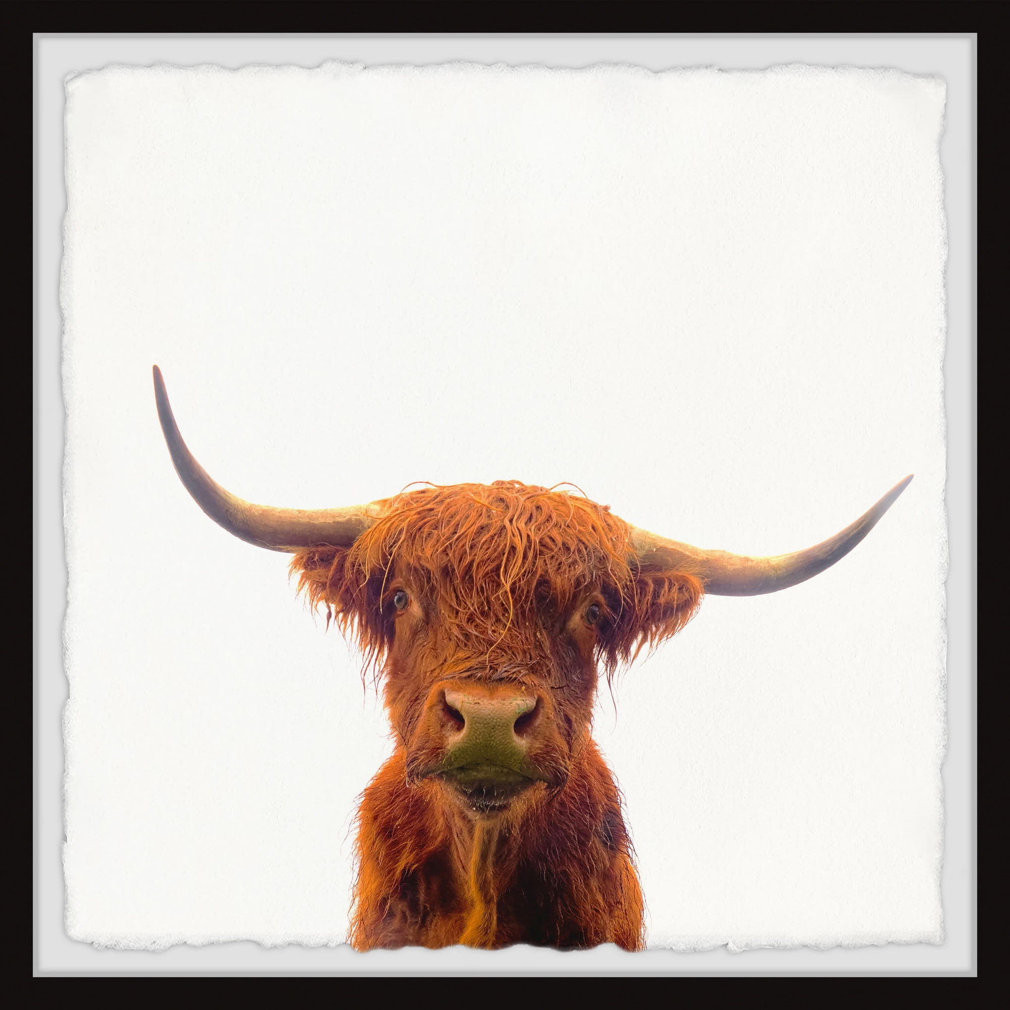 Marmont Hill The Orange Buffalo Framed Wall Art, 18" x 18"