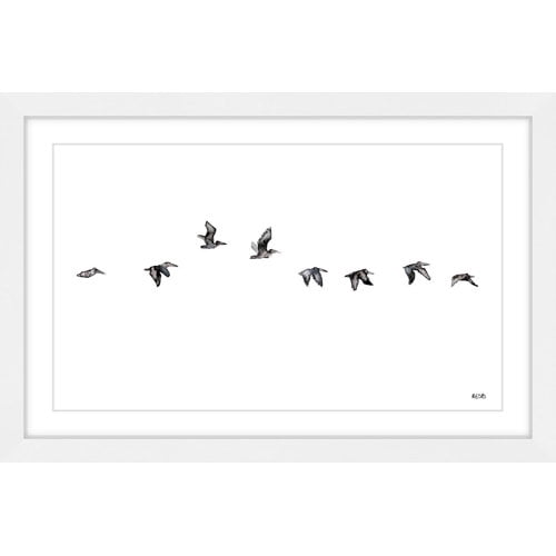Marmont Hill "The Squadron" by Rachel Byler Framed Painting Print