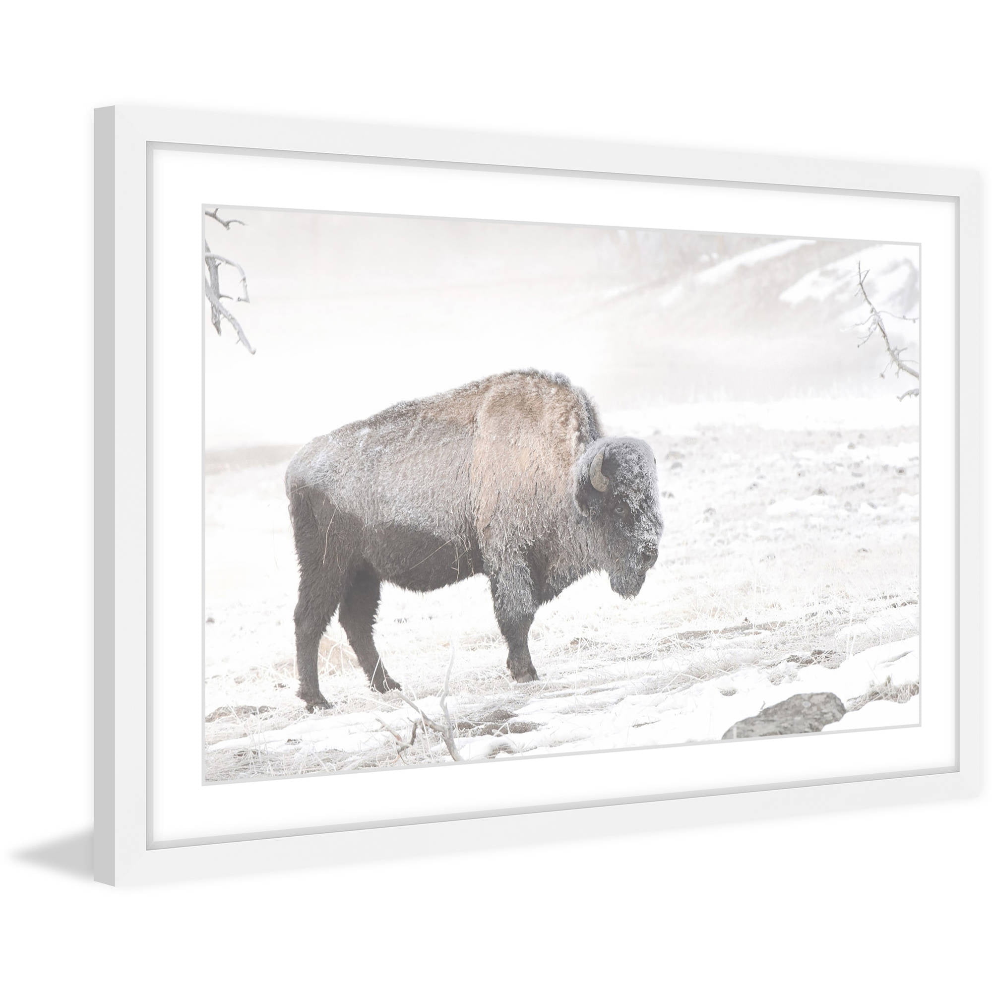 White Framed Canvas Print of Buffalo in Snow, 20" x 14"
