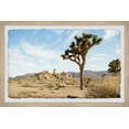 thumbnail image 1 of Marmont Hill The Tree of Life Framed Wall Art, 1 of 6