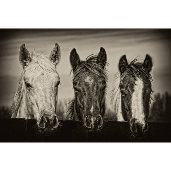 Marmont Hill "Three Amigos I" Painting Print on Wrapped Canvas