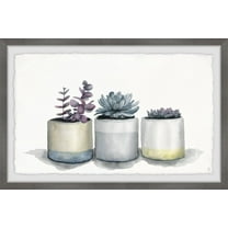 Marmont Hill Three Potted Succulents Ii Framed Wall Art, 12.00" x 1.50"