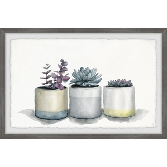 Marmont Hill Three Potted Succulents Ii Framed Wall Art, 12.00" x 1.50"