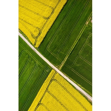 Marmont Hill "Through the Fields" Painting Print on Wrapped Canvas