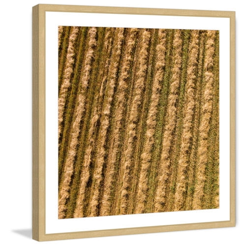 Marmont Hill "Tilled Field" By Karolis Janulis Framed Painting Art Print, 18.0" x 1.5"