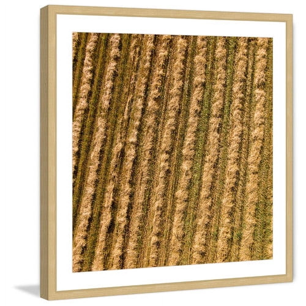 Marmont Hill "Tilled Field" By Karolis Janulis Framed Painting Art Print, 24.0" x 1.5"
