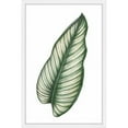 thumbnail image 1 of Marmont Hill "Top Leaf I" by Shayna Pitch Framed Painting Print, 1 of 5