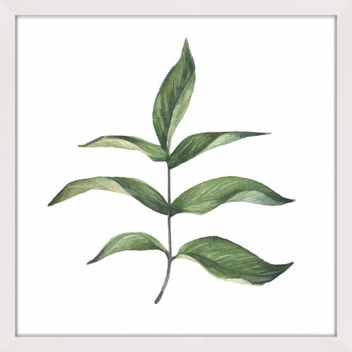 Marmont Hill "Top Leaf III" by Shayna Pitch Framed Painting Print