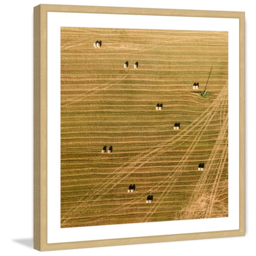 Marmont Hill "Tractor Trails" by Karolis Janulis Framed Painting Print