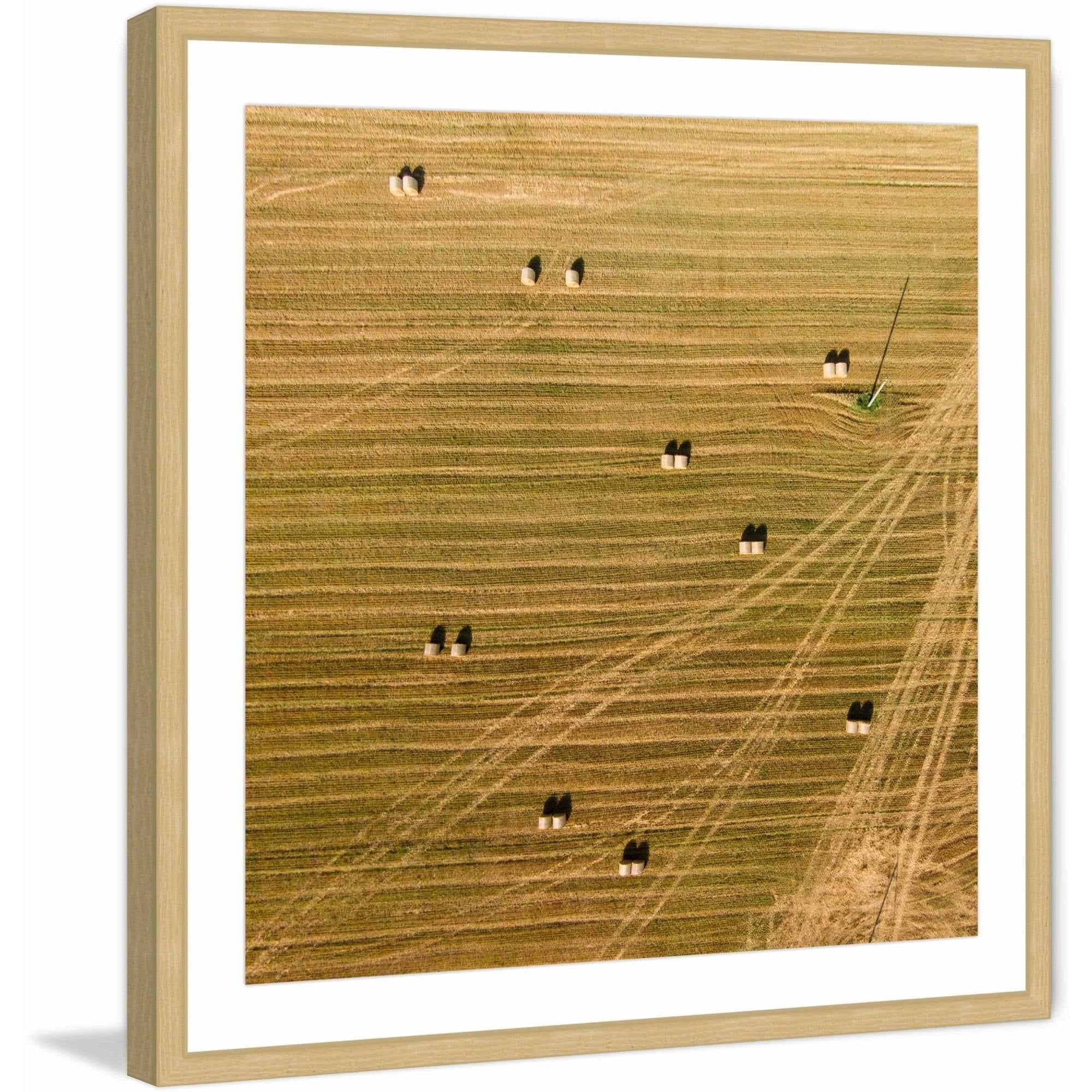 Marmont Hill "Tractor Trails" by Karolis Janulis Framed Painting Print