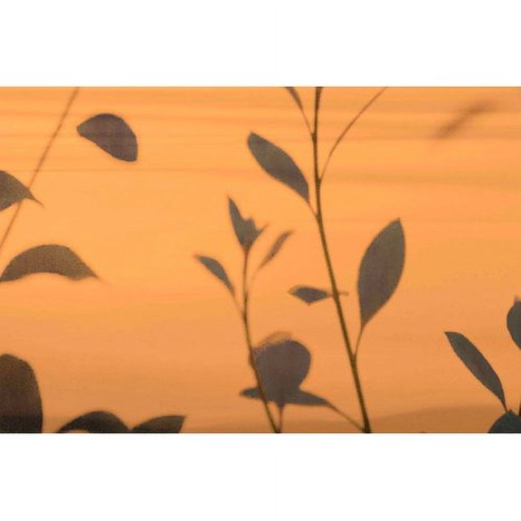 Marmont Hill - "Tranquility III" by Sia Aryai Painting Print on Wrapped Canvas