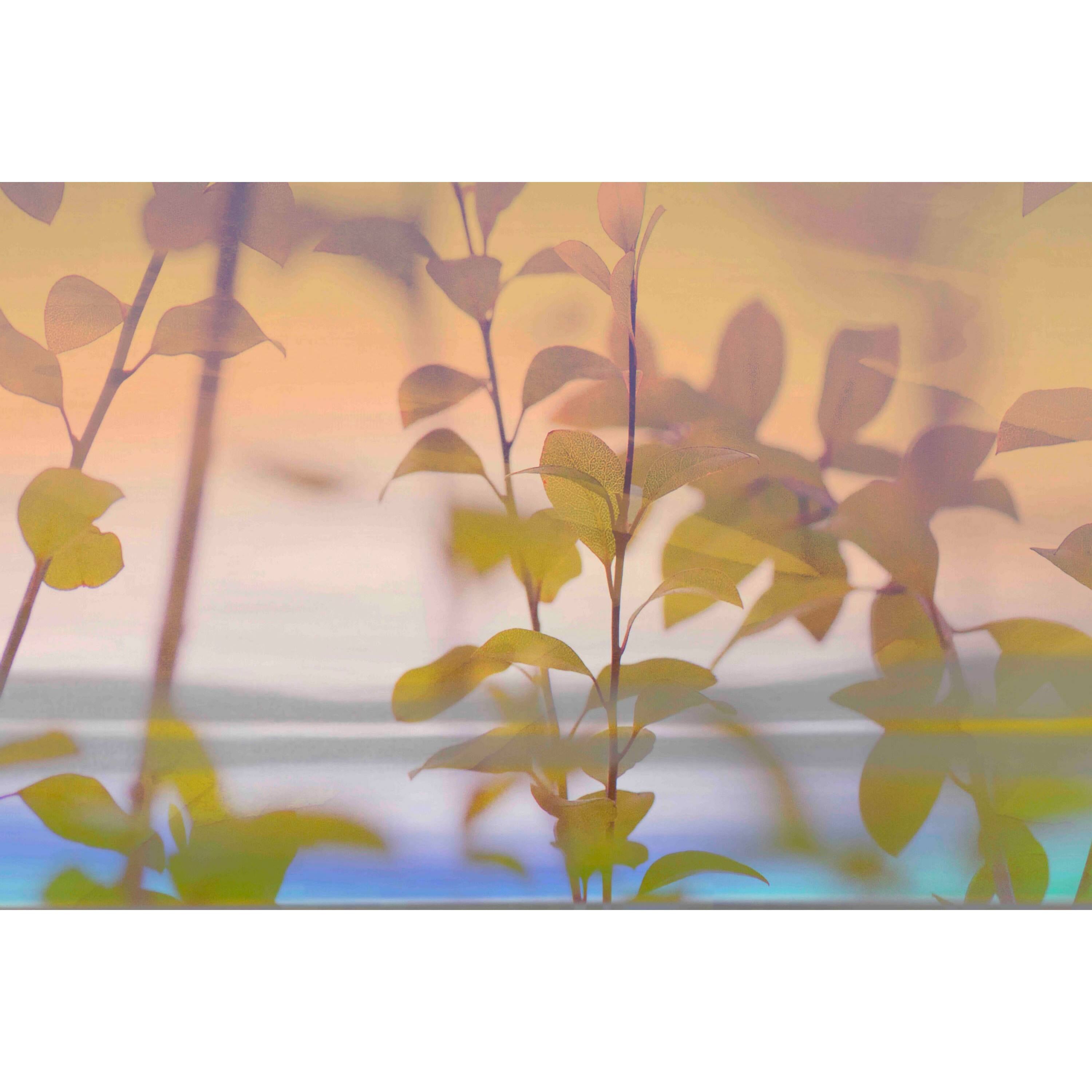Marmont Hill - "Tranquility IV" by Sia Aryai Painting Print on Wrapped Canvas