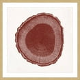 thumbnail image 1 of Marmont Hill "Tree Ring I" Framed Painting Print, 1 of 5