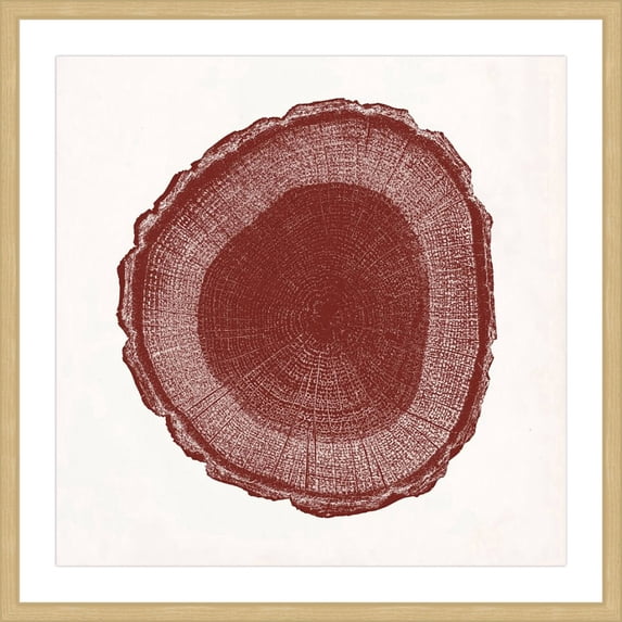 Marmont Hill "Tree Ring I" Framed Painting Print