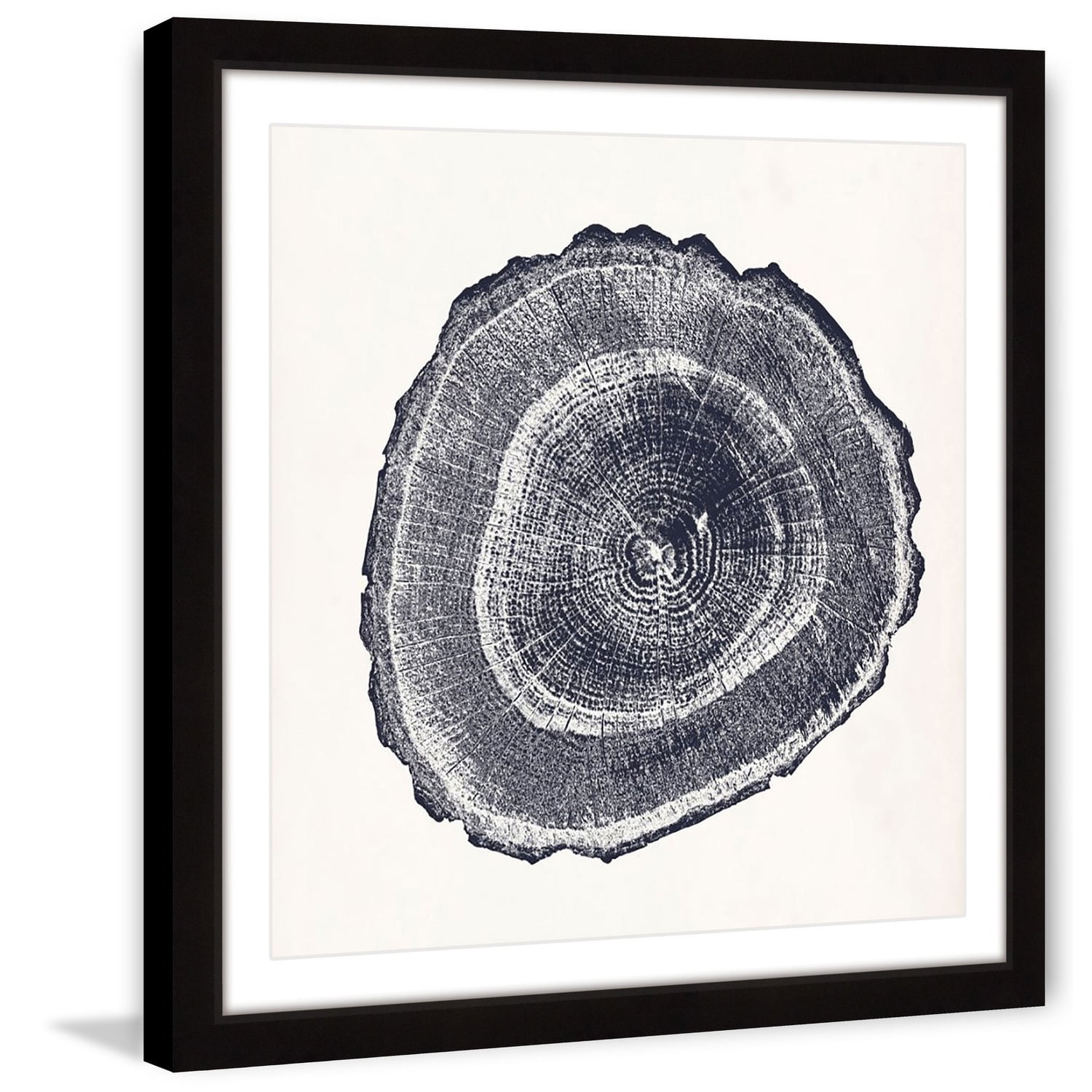 Abstract Black and White Tree Ring Canvas Print, 20" x 20"