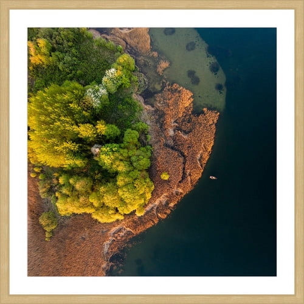 Marmont Hill "Trees from Above" by Karolis Janulis Framed Painting Art Print