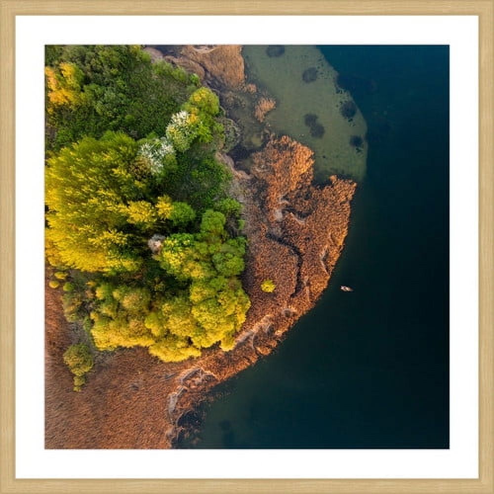 Marmont Hill "Trees from Above" by Karolis Janulis Framed Painting Print