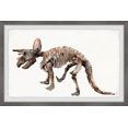 thumbnail image 1 of Marmont Hill Triceratops Skeleton Framed Wall Art, 36.00" x 1.50", 1 of 6