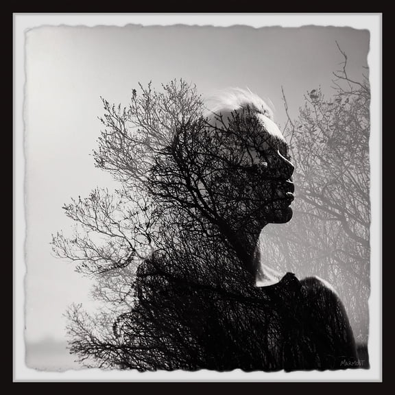 Marmont Hill Truth About Time Framed Painting Print