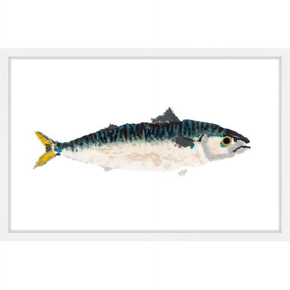 Marmont Hill "Two-Tone Fish" by Michael Pantalos Framed Painting Print