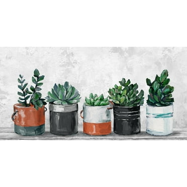 Marmont Hill Two-Toned Succulent Holders Canvas Wall Art, 6" x 12"