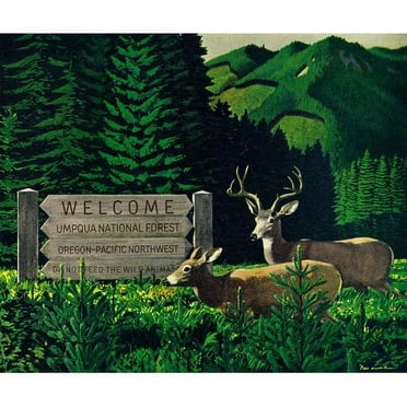 Marmont Hill - "Umpqua Natl Forest" Painting Print on Wrapped Canvas