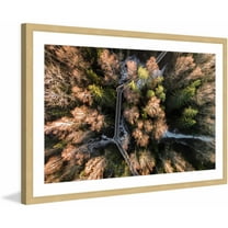 Marmont Hill "Walkway Through Trees" By Karolis Janulis Framed Painting Art Print, 18.0" x 1.5"