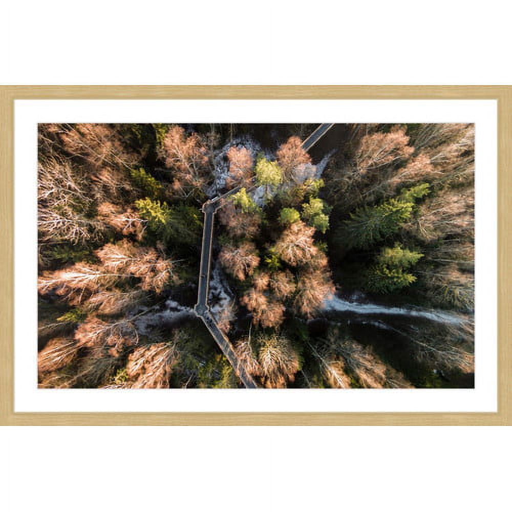 Marmont Hill "Walkway Through Trees" By Karolis Janulis Framed Painting Art Print, 36.0" x 1.5"