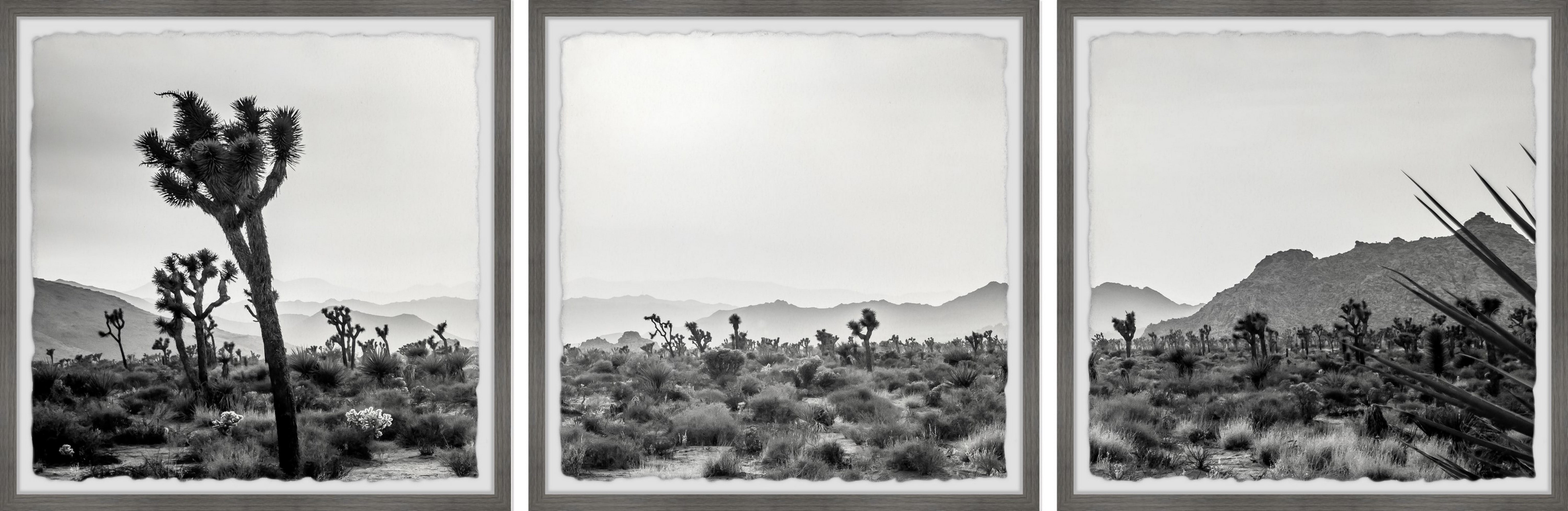 Marmont Hill Wanderlust and Desert Dust Triptych, 18" x 54"