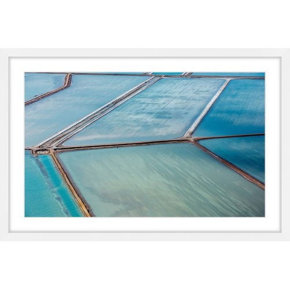 Marmont Hill "Water Purification" Framed Painting Print