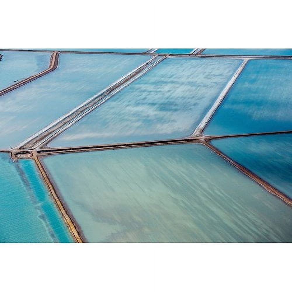 Marmont Hill "Water Purification" Painting Print on Wrapped Canvas