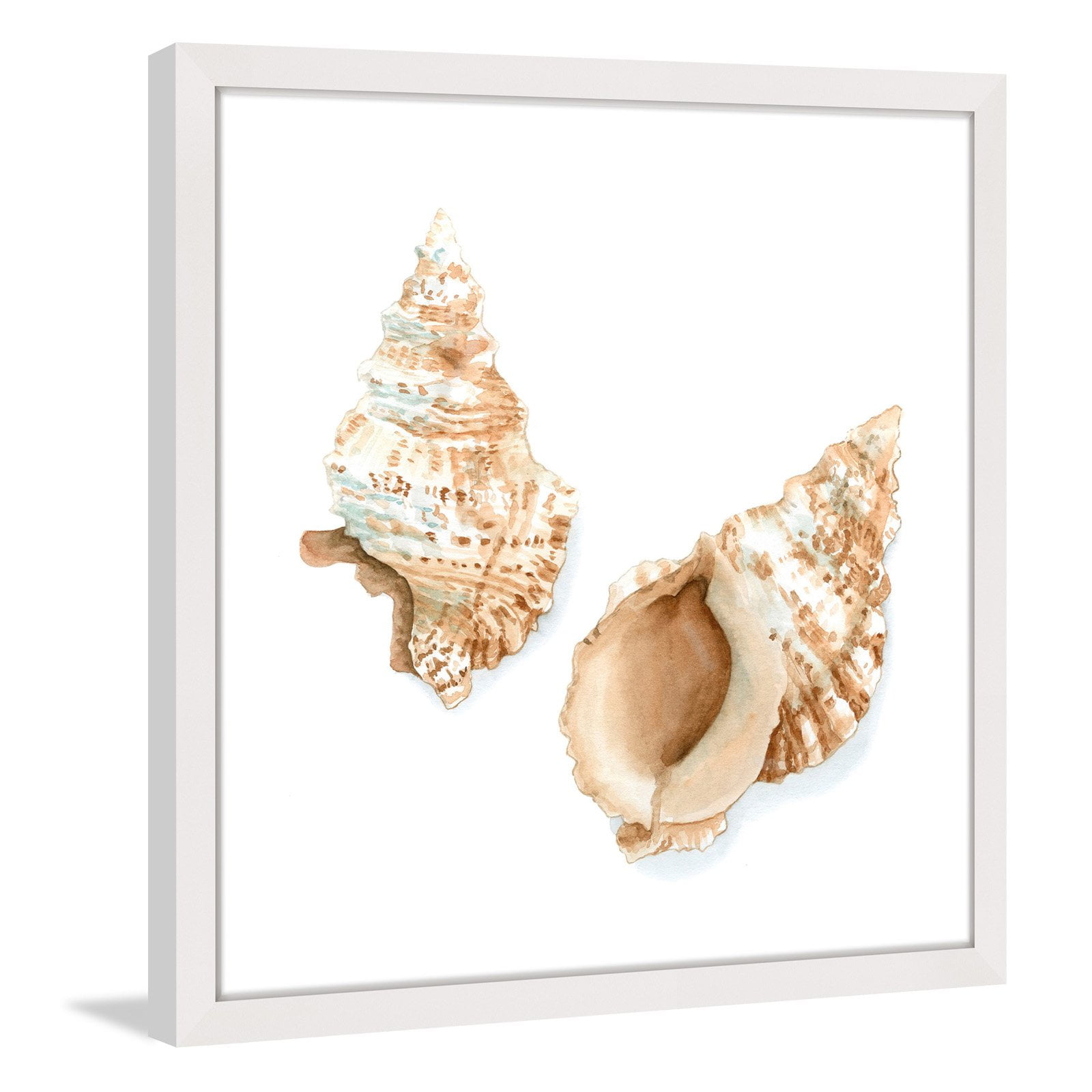 Marmont Hill "Watercolor Shells VII" Framed Painting Print
