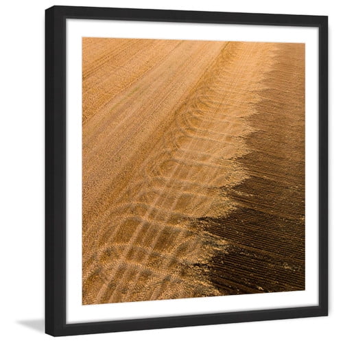 marmont hill 'wheat field' framed print