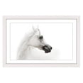 thumbnail image 1 of Marmont Hill "White Beauty" Framed Painting Print, 1 of 6