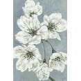 thumbnail image 1 of Marmont Hill White Blossoms Canvas Wall Art, 1 of 7