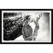 Marmont Hill White Horse Mask Framed Wall Art