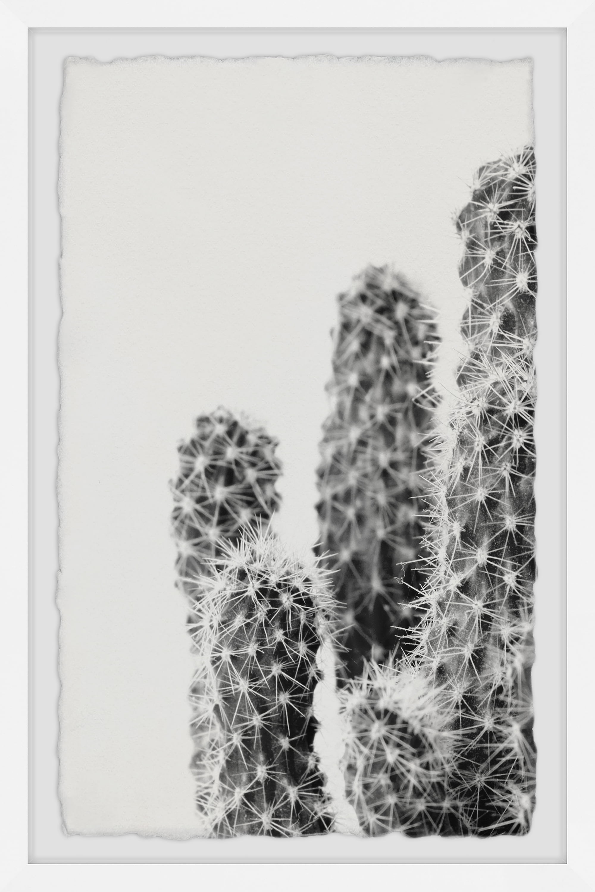 Marmont Hill White Thorns Framed Wall Art, 12" x 8"