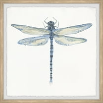 Marmont Hill Wild Dragonfly Framed Wall Art