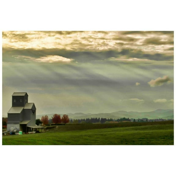 Marmont Hill "Wine Country Sunset" Painting Print on Canvas