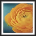 thumbnail image 1 of Marmont Hill "Yellow Bloom" Framed Painting Print, 1 of 5